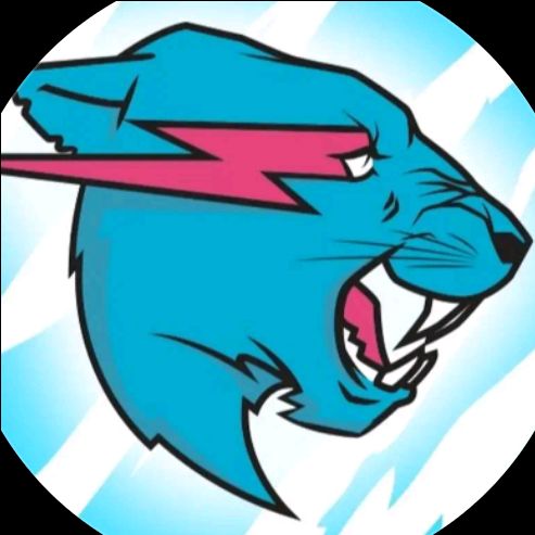 Mr beast00 on Bideo