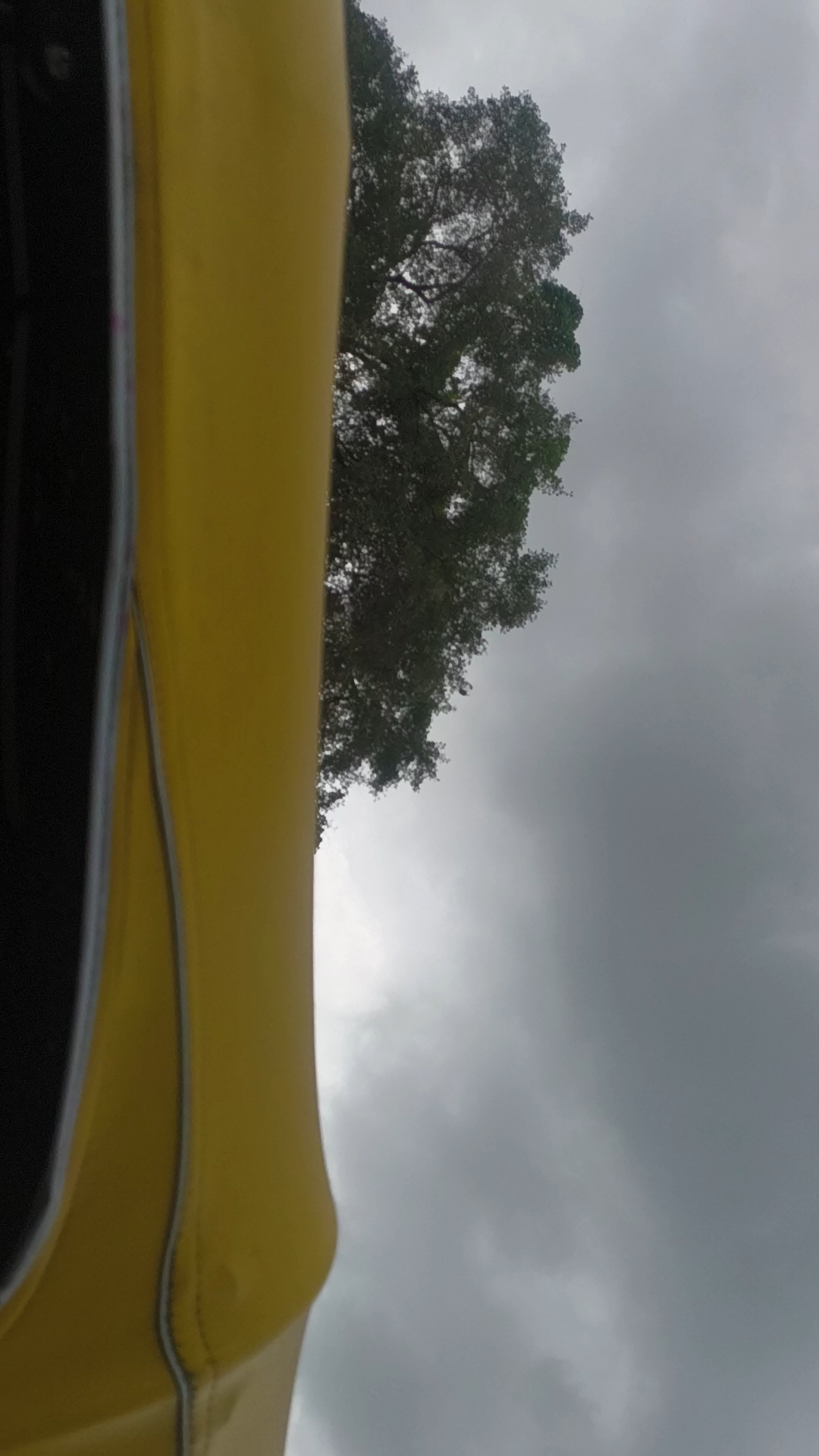 Dekho kya hua vlog video