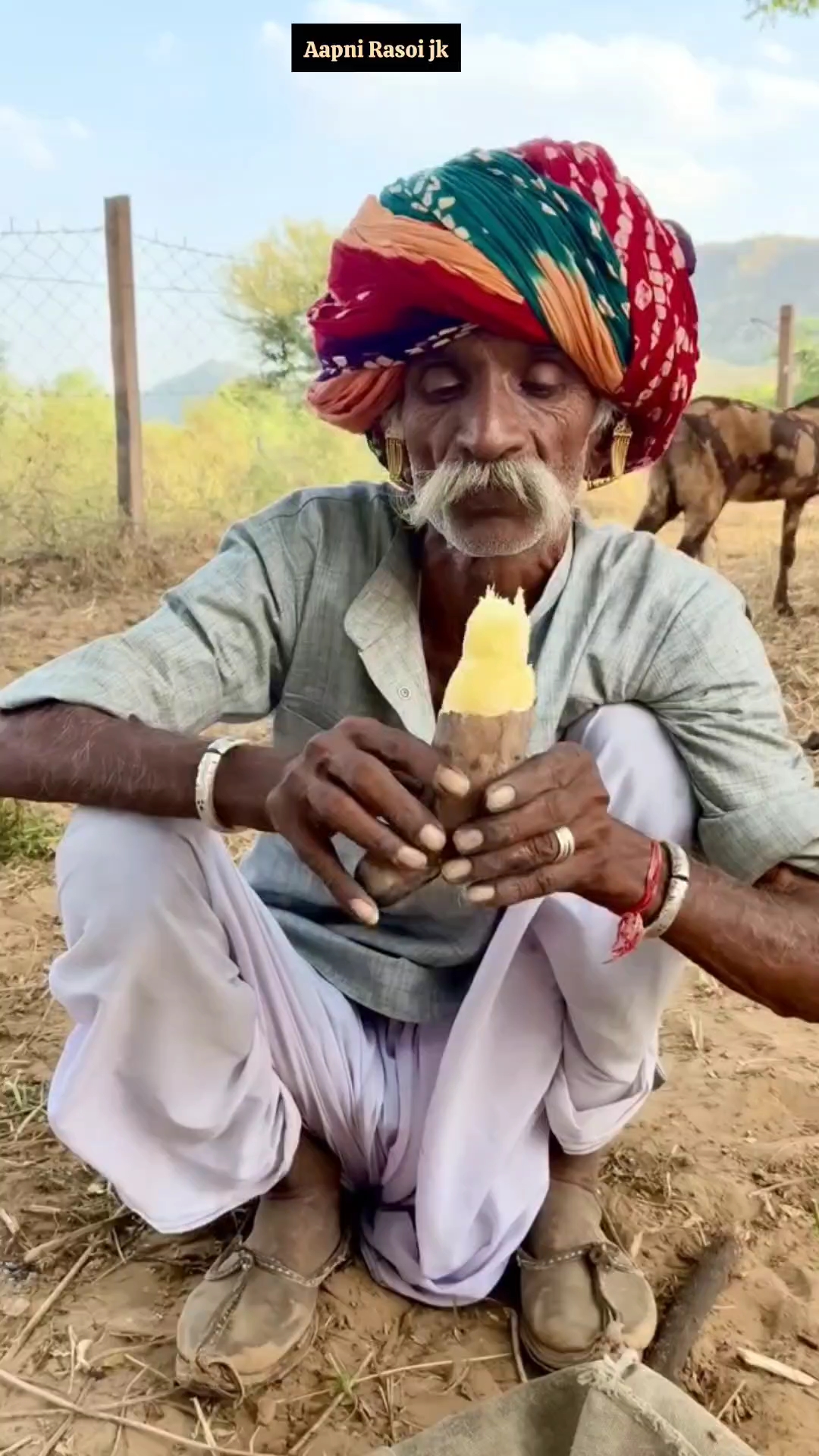 काका ने बनाया सर्दियों का पोस्टिक शकरकंद