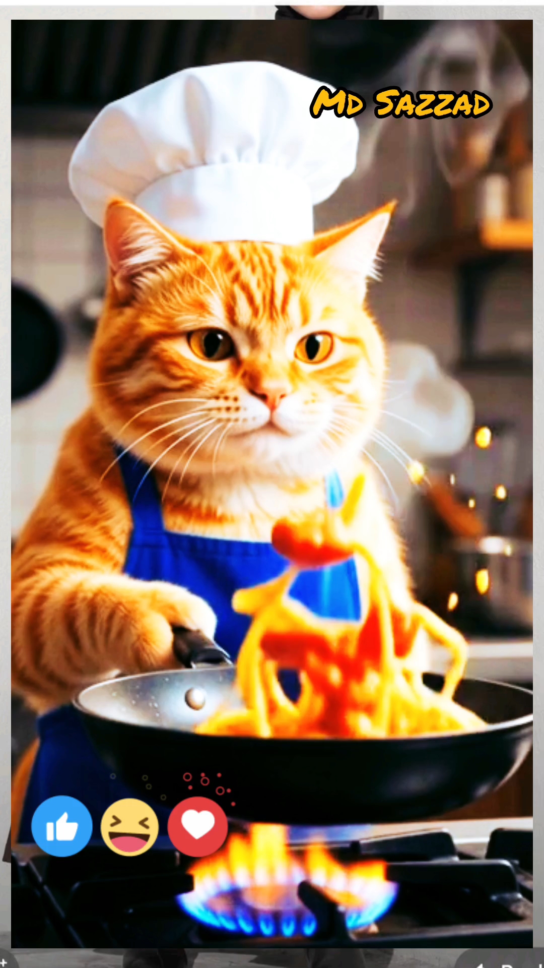 Cat coking
