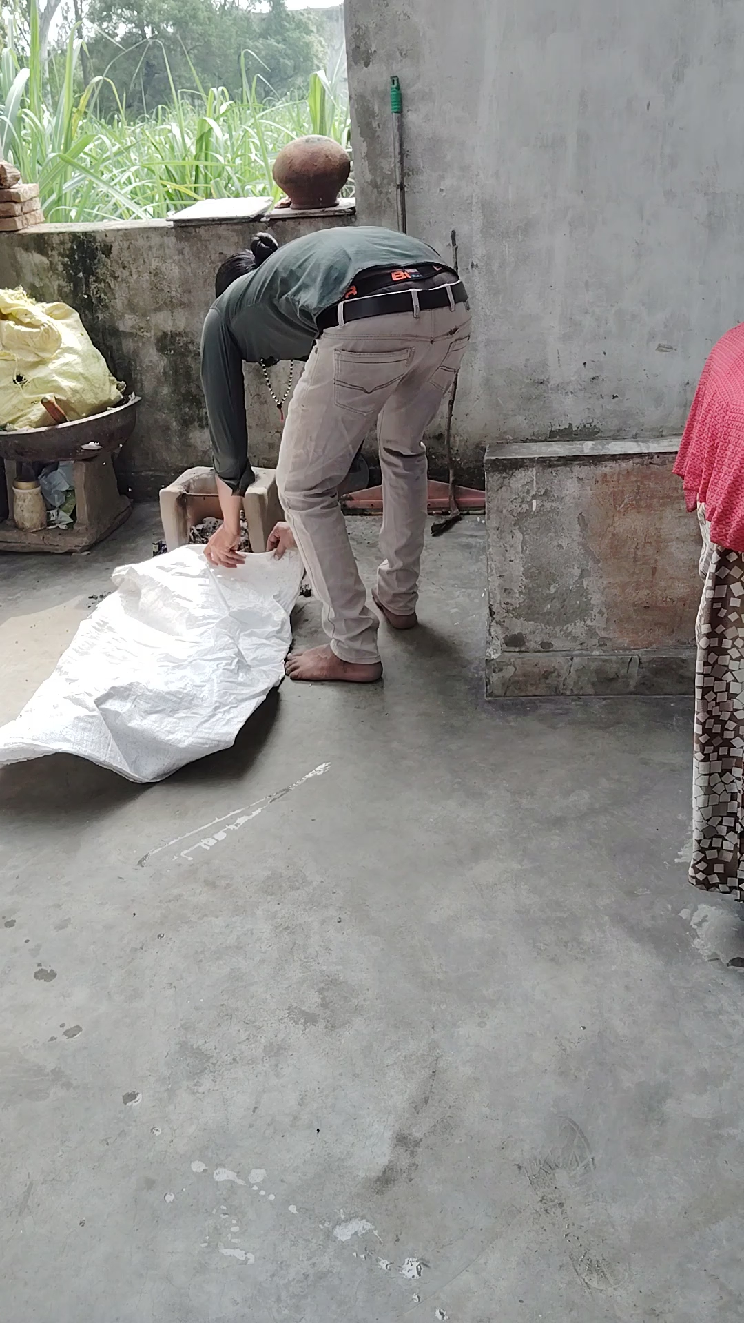 चूल्हे में घुसा सांप