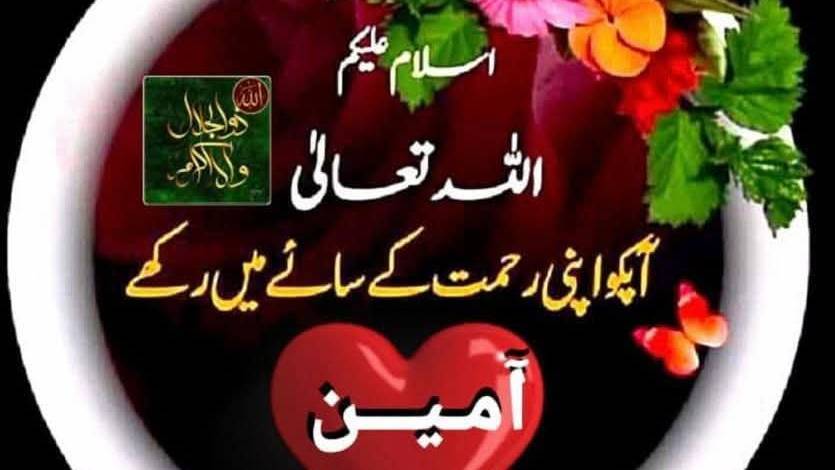 Pashto nazam Mohammed SAW 🕋🌹 viral video