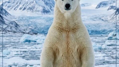 “Discover Amazing Facts About Our World