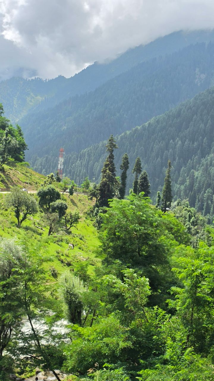 Only nature my peace