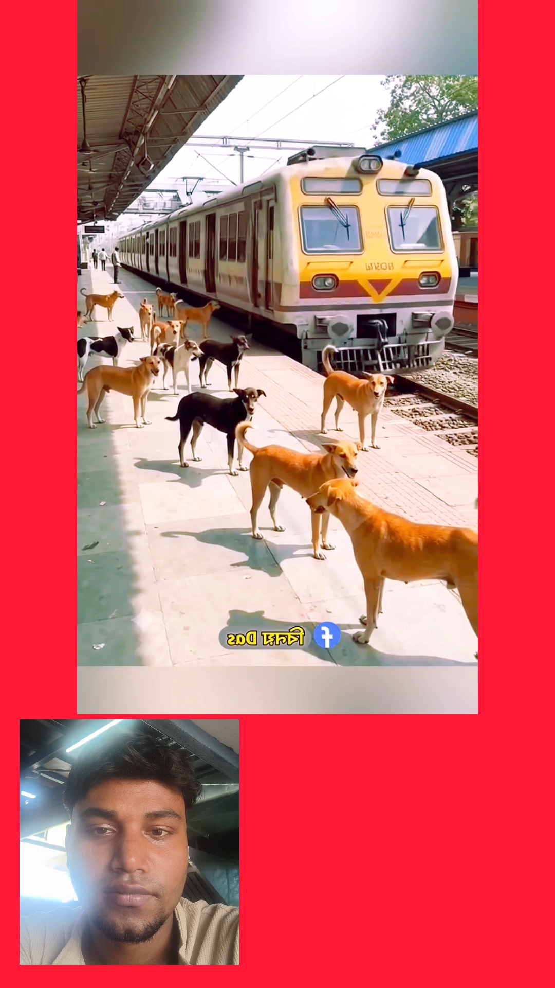 Wait for dogesh bhai|| #bideo #reanding #viral