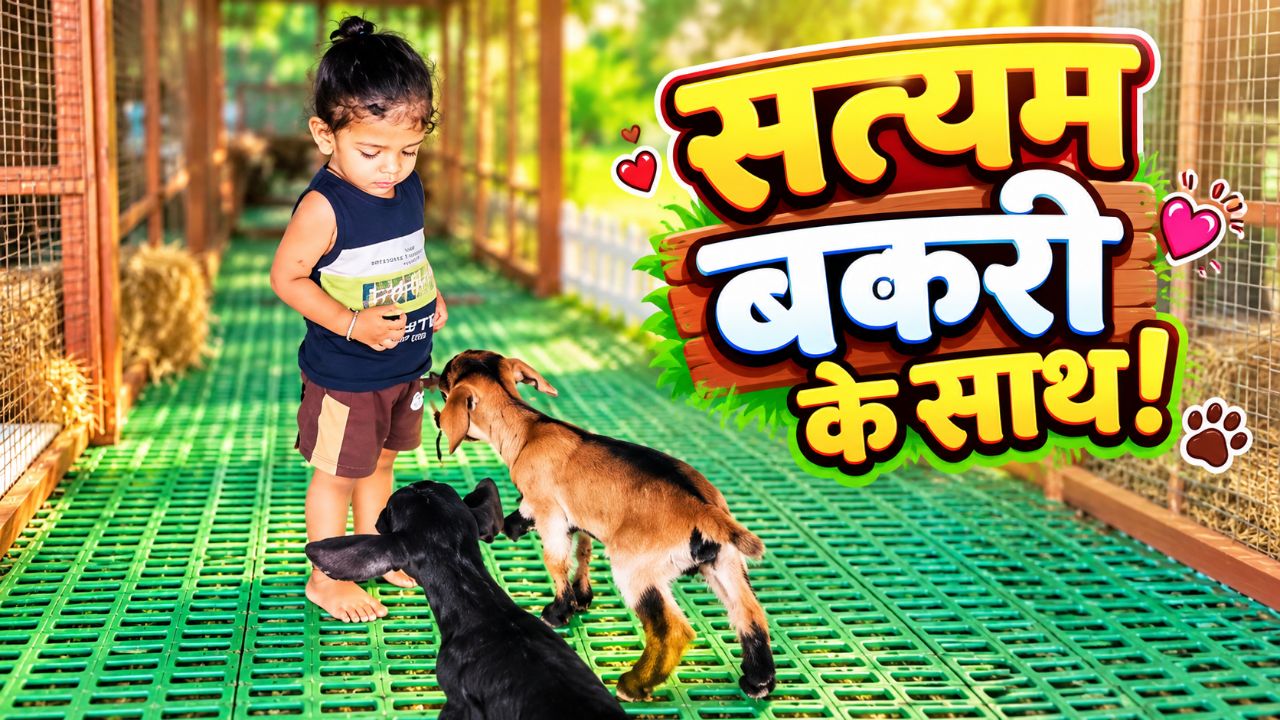 🐐😍 सत्यम और नन्ही बकरियों की मस्ती ❤️ | Satyam Playing with Baby Goats 🐐🥰 #Shorts