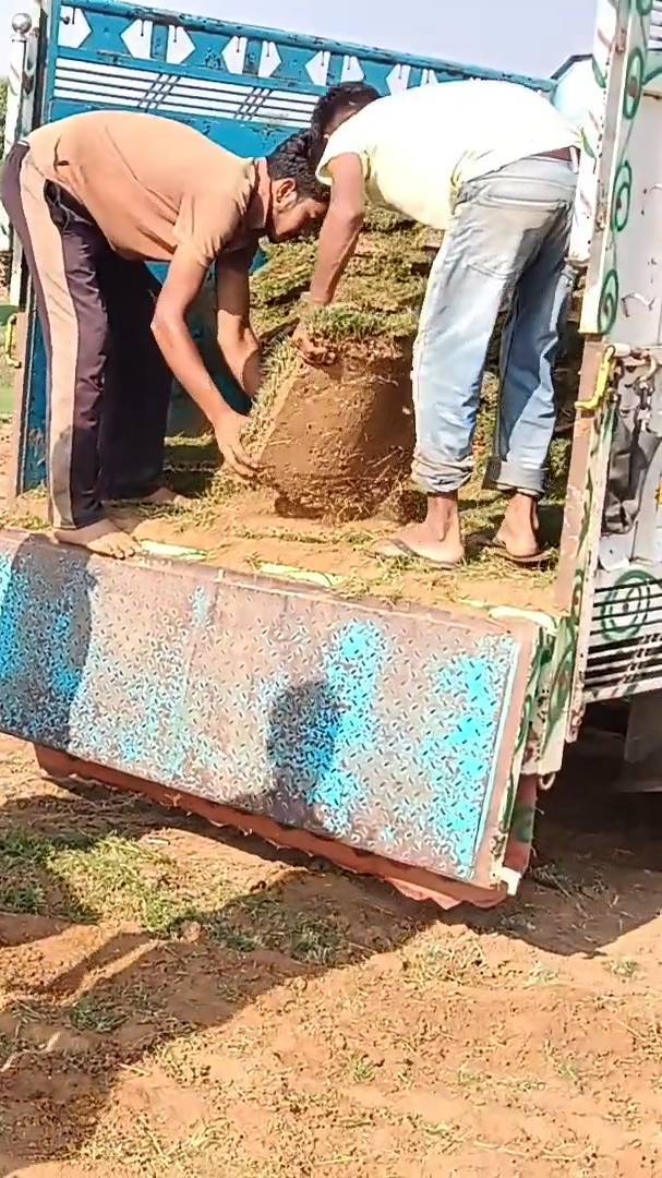 Desi comedy Masti 🤣🤣🤣 #shorts #trending #viral