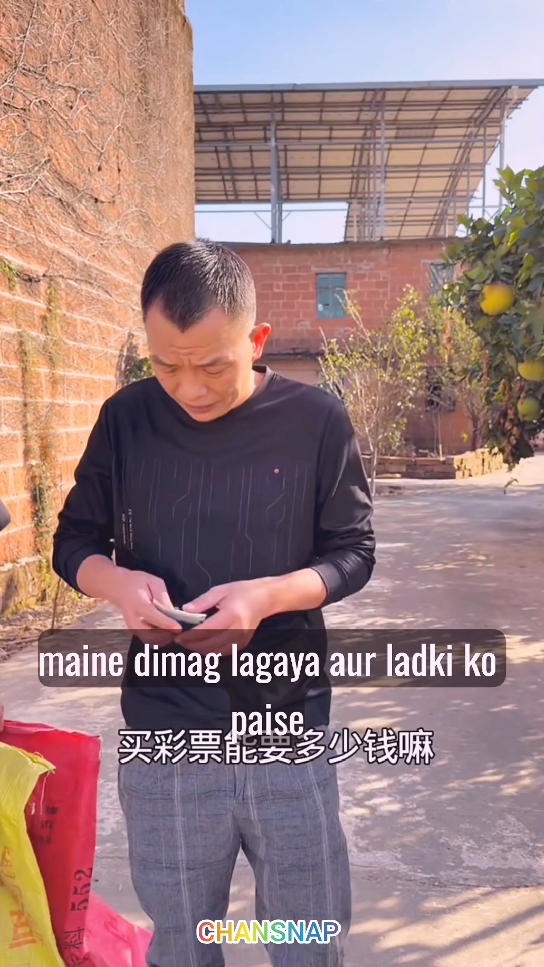 गजब का मास्टरमाइंड प्लान! लड़की को भगाकर गेहूं बोरियों में भरने की मजेदार तरकीब