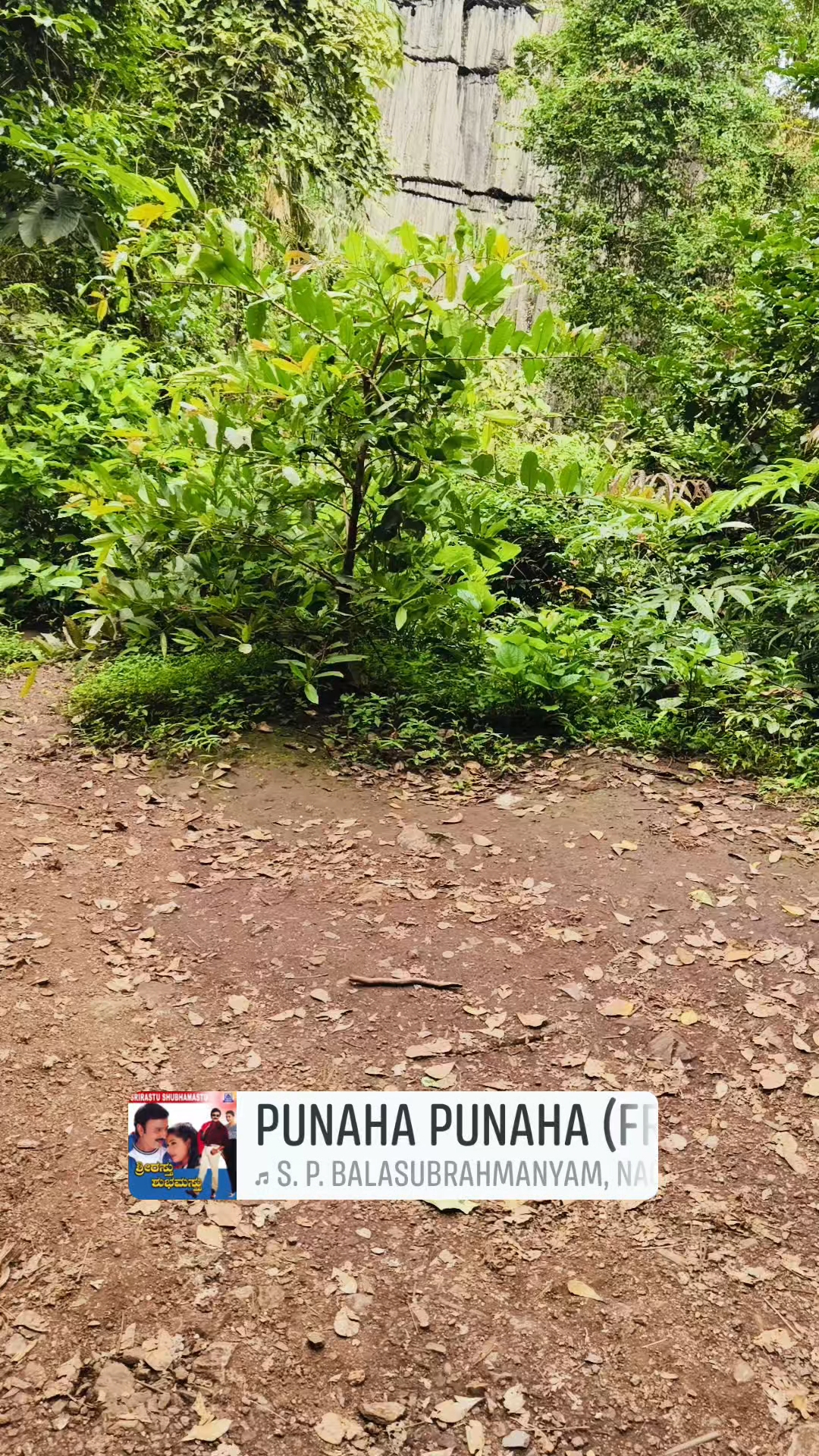Yana hills