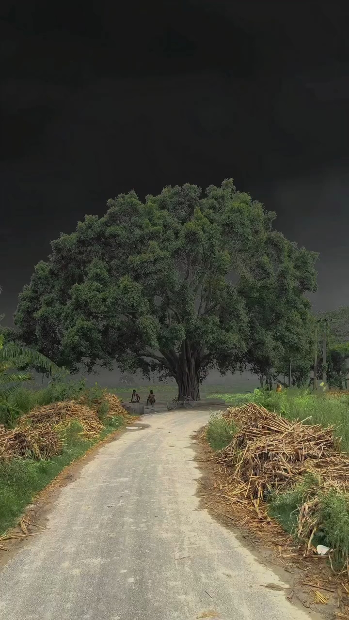 मानसून मौसम🌧️❤️🌈 #mansoon #waither #trending #village