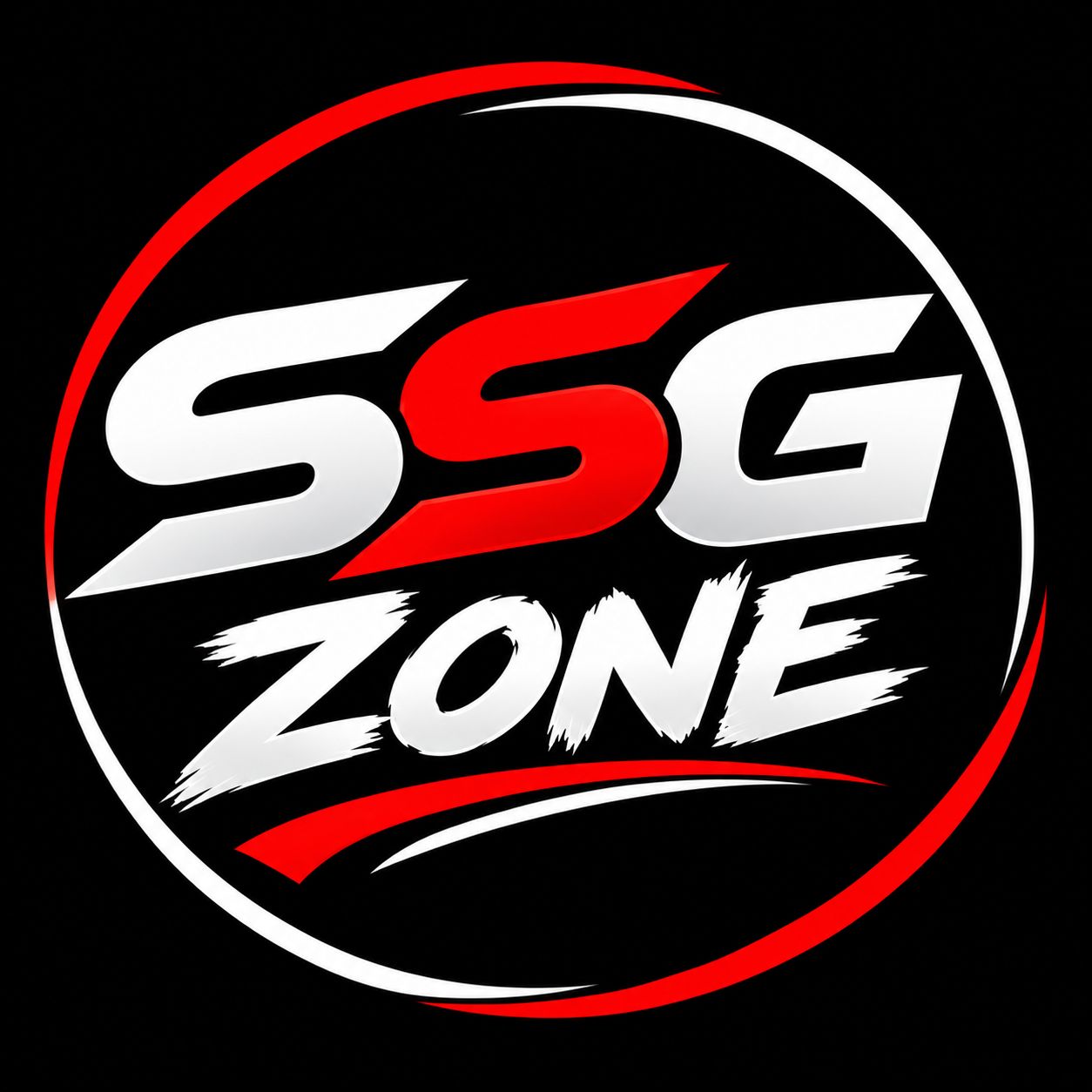 SSG ZONE on Bideo