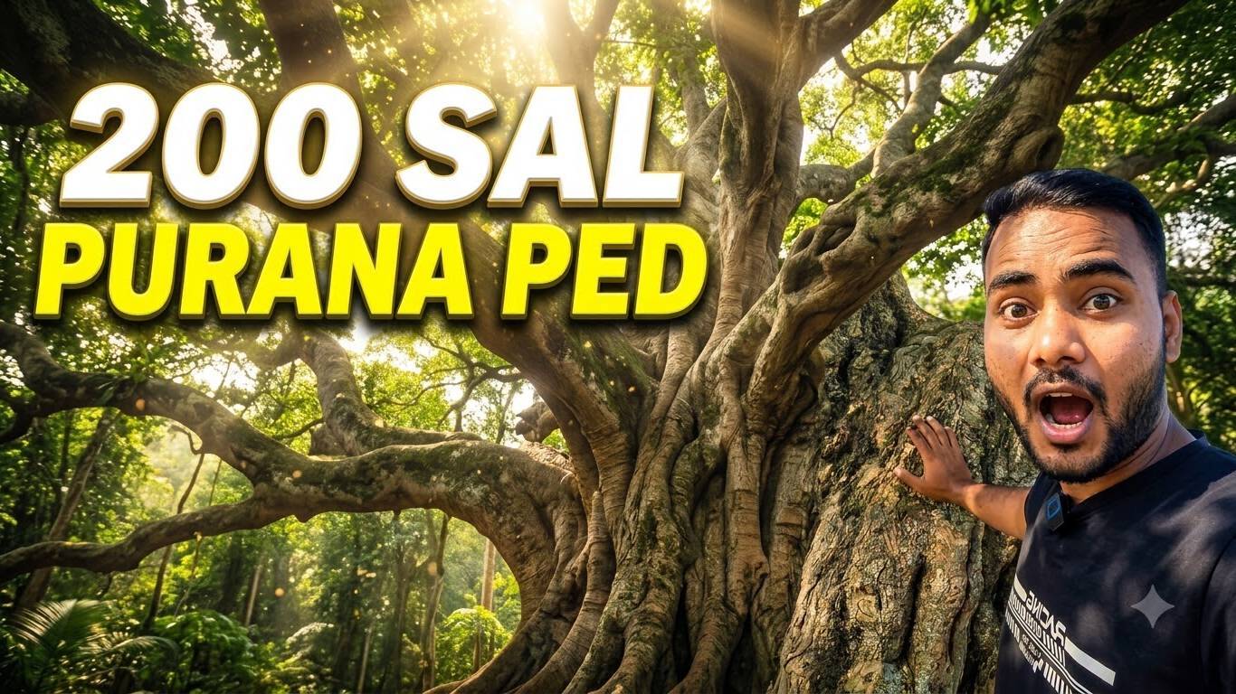 200 सौ साल पुराना छतुअन का पेड़ 😱😱#vlogvideo #dehatiblog #trevlingblog #short #video