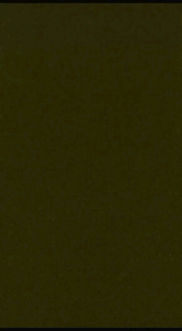 31 October 2026