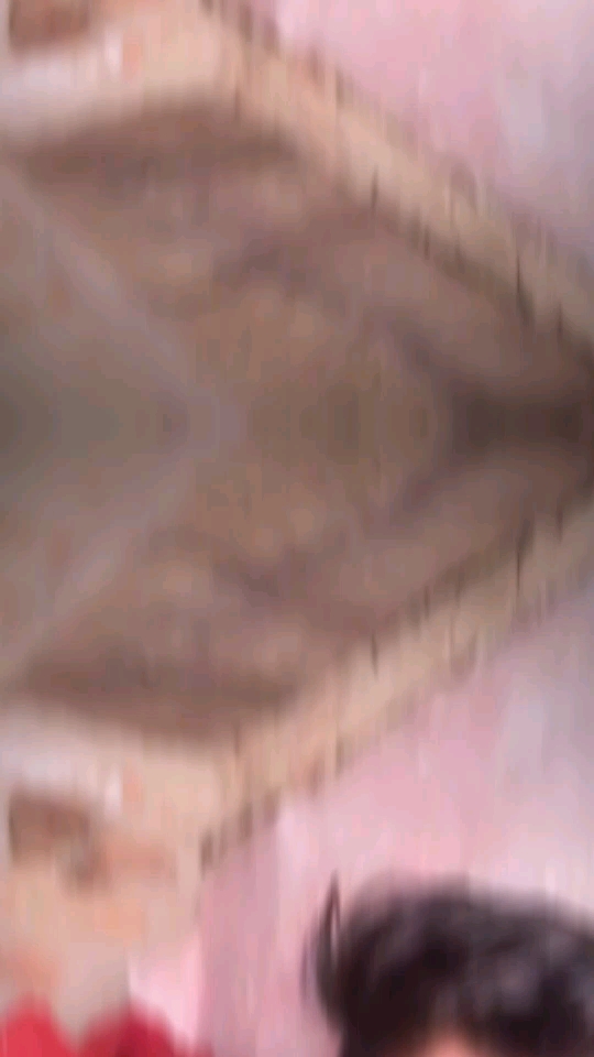 Papa
