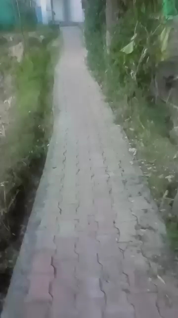 Apni kya fikar kary zinda ha yahi bahut hai @All_shorts_00